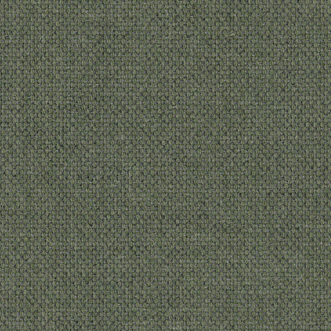 Bibliotheque Locus Fern